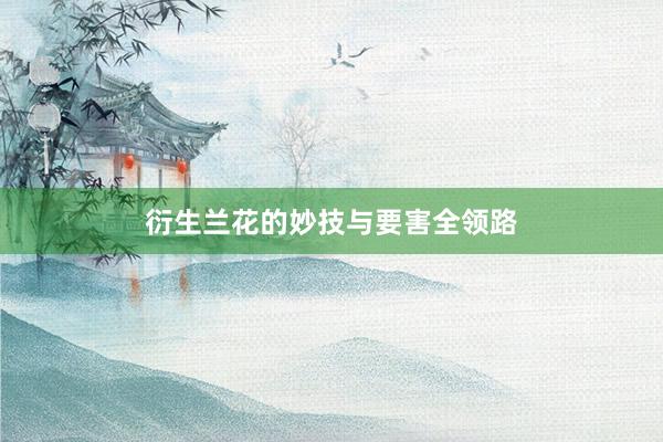 衍生兰花的妙技与要害全领路