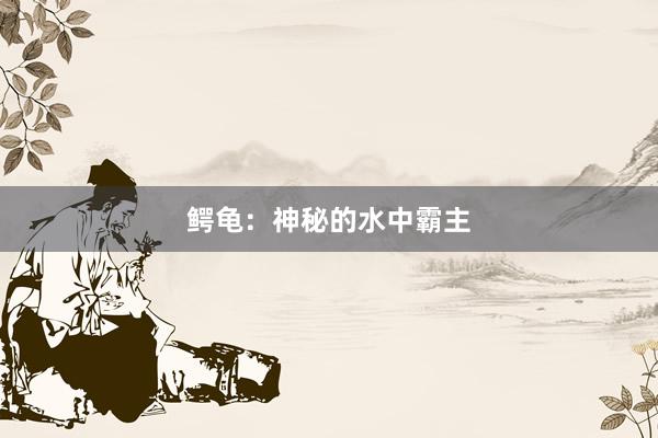 鳄龟：神秘的水中霸主